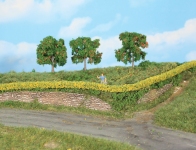  11805 - Forsythienhecken, flexibel, 7 x 7 mm (2 Stück je 50 cm lang)
